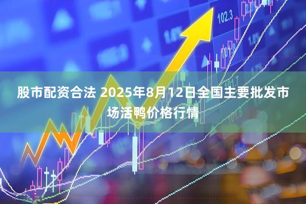股市配资合法 2025年8月12日全国主要批发市场活鸭价格行情